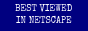 best viewed in netscape